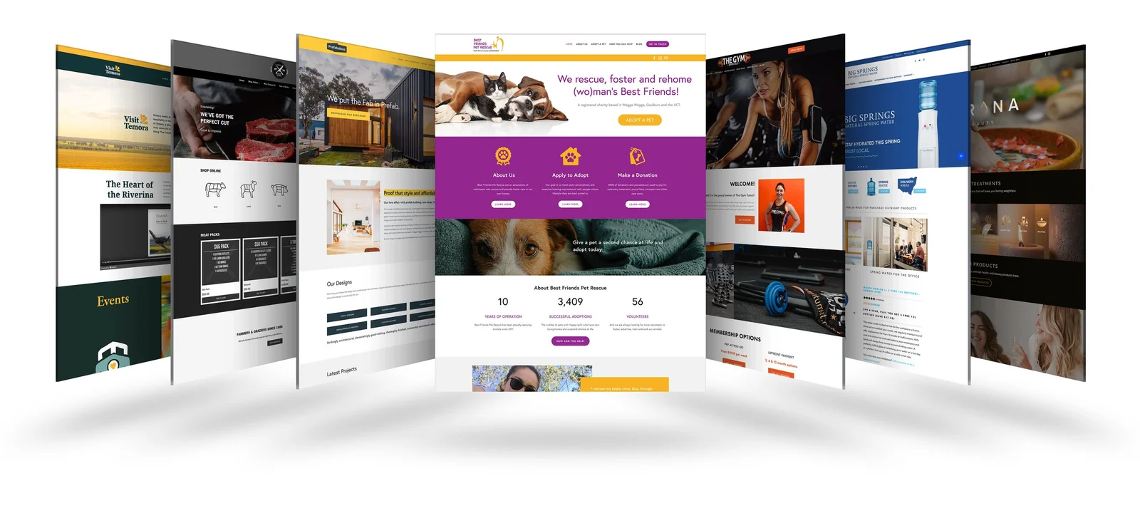 Website Development